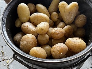 Ganze Kartoffeln in einem Outdoor Kessel
