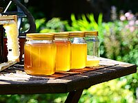 Vier unterschiedlich gefüllte Honiggläser auf einem teils sonnenbeschienenen Tisch, im Hintergrund verschwommen ein grüner Garten