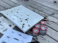 Becherlupen und Kescher auf Holzsteg. Im Hintergrund Kinder.