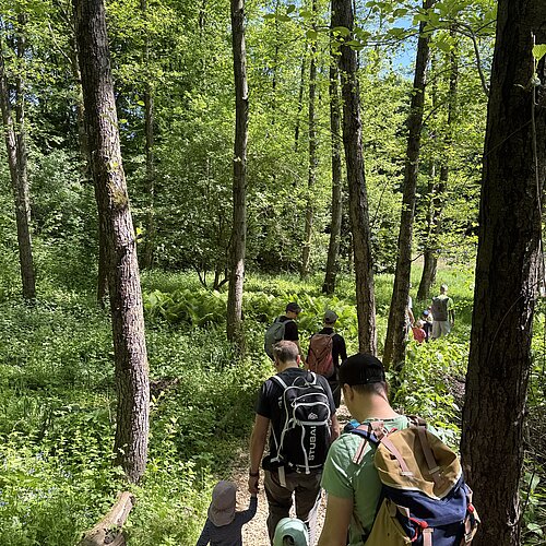 Väter mit Kindern im Wald von hinten fotografiert.